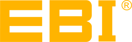 EBI Bearings